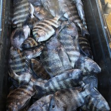 When a cooler just isn’t big enough