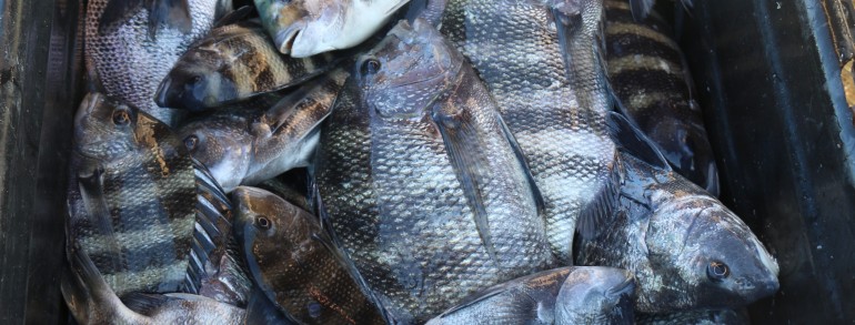 When a cooler just isn’t big enough