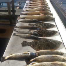Here’s what a vessel limit of Redfish looks like