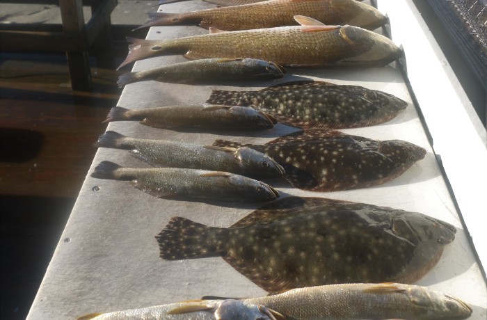 Here’s what a vessel limit of Redfish looks like
