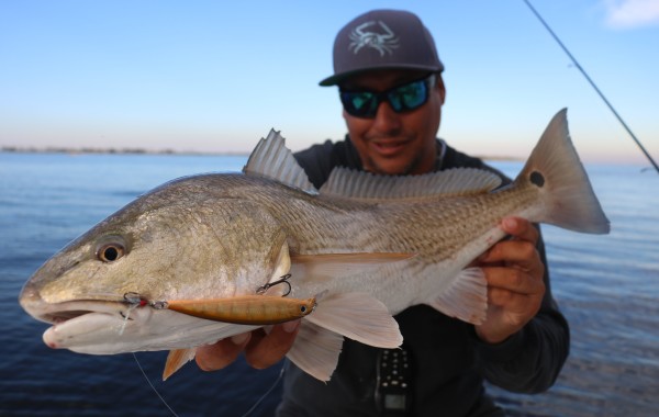This fat River Pumpkin fell for the Rapala XRap “River Perch”