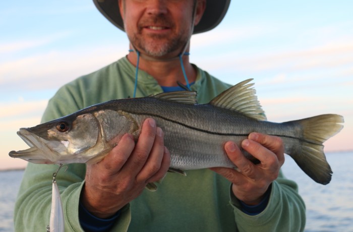 A very rare Northeast Florida Snook on a “Glass Ghost” pattern Rapala XRap